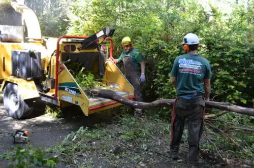 tree services New Carlisle